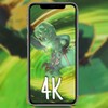 芒果TV HD