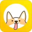 灵希